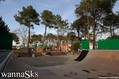 foto de skate